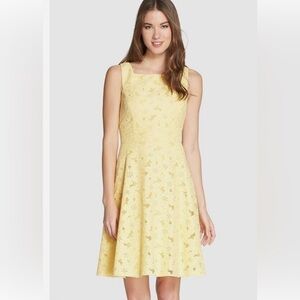 Maggy London Embroidered Cotton Blend Fit & Flare Dress